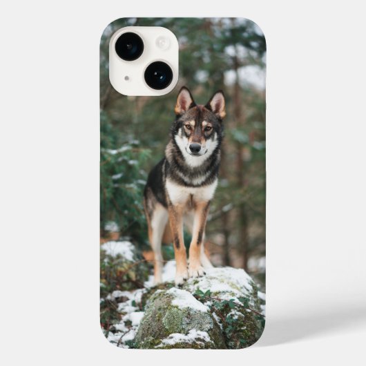 Étui pour iPhone 14 Wolfdog (Verso)