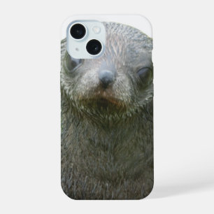 Étui pour iPhone 15 avec bébé phoque mignon
