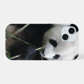 Étui pour iPhone 15 Panda Mignon (Verso Horizontal)