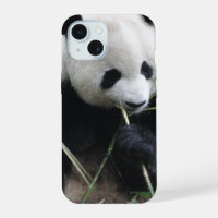 Étui pour iPhone 15 Panda Mignon