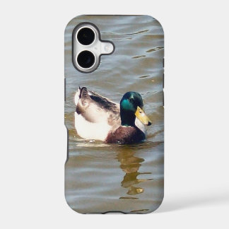 Étui pour iPhone 5/5S Canard colvert à peine là