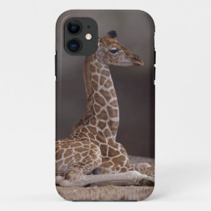 Étui pour iPhone 5 Case-Mate de girafeau