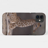 Étui pour iPhone 5 Case-Mate de girafeau (Dos (Horizontal))