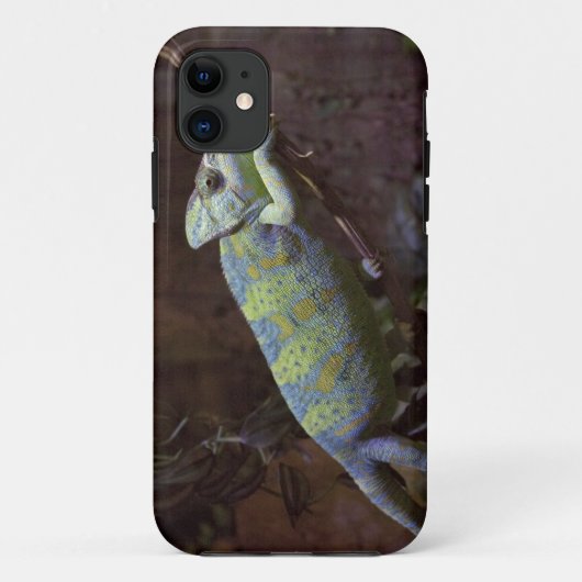 Étui pour iPhone 5 Chameleon Case-Mate (Dos)
