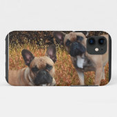 Étui pour iPhone 5 de Bouledogues Français (Dos (Horizontal))
