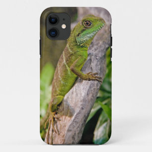 Étui pour iPhone 5 Dragon d'eau chinois