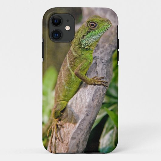 Étui pour iPhone 5 Dragon d'eau chinois (Dos)