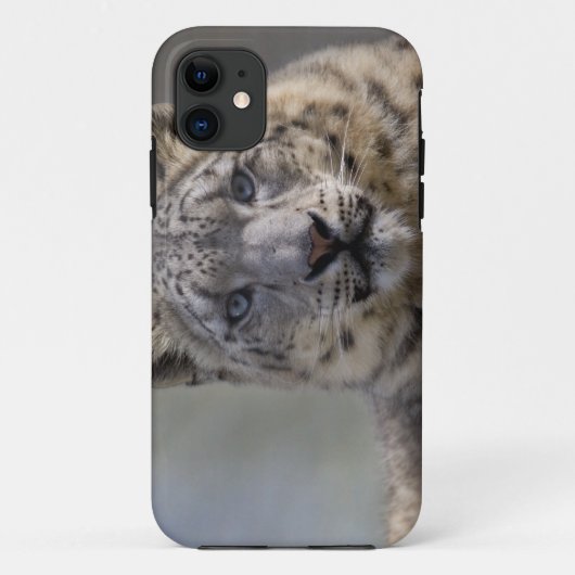 Étui pour iPhone 5 Himalayan Prince Case-Mate (Dos)