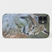 Étui pour iPhone 5 Lynx de Sibérie (Dos (Horizontal))