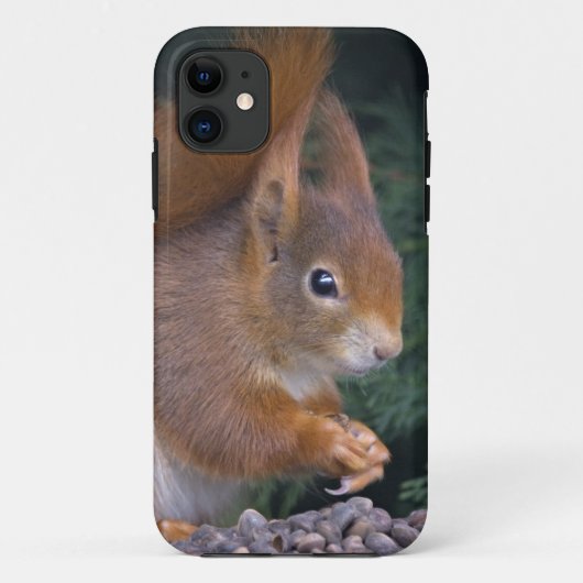 Étui pour iPhone 5 Nut Brunch (Dos)
