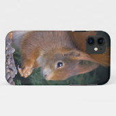 Étui pour iPhone 5 Nut Brunch (Dos (Horizontal))