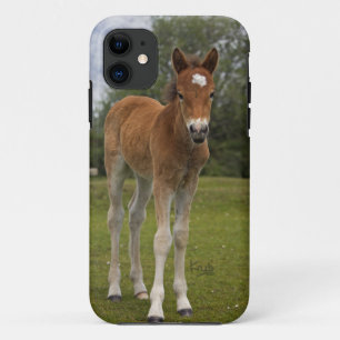 Étui pour iPhone 5 Poulain