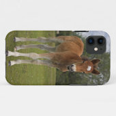 Étui pour iPhone 5 Poulain (Dos (Horizontal))
