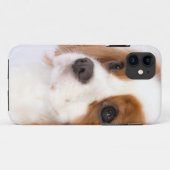 Étui pour iphone 5g Cavalier King Charles Spaniel (Dos (Horizontal))