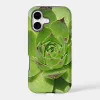 Étui pour iPhone à plantes grasses