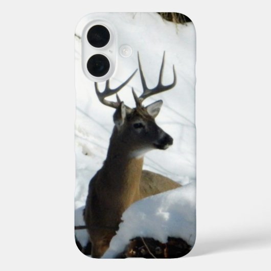 Étui pour iPhone Big Buck (Verso)