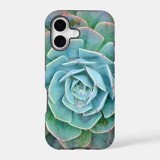 Étui pour iPhone succulent