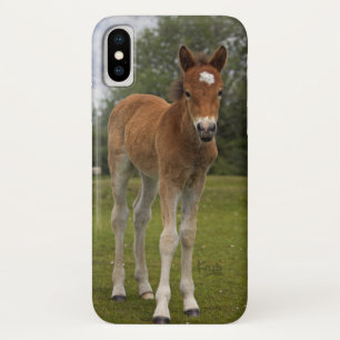 Étui pour iPhone X Poulain