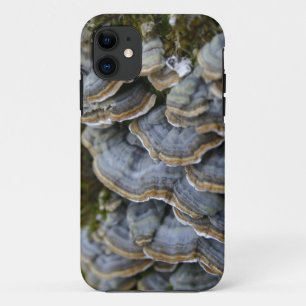 Étui pour téléphone Champignons d'arbre, iPhone SE