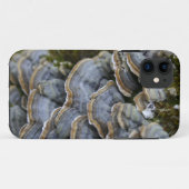 Étui pour téléphone Champignons d'arbre, iPhone SE (Dos (Horizontal))