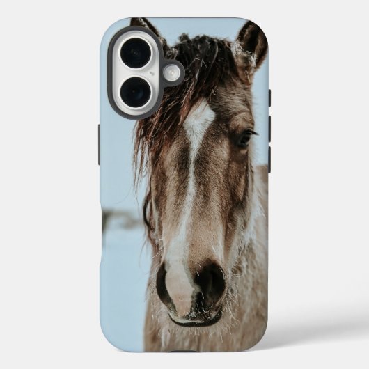 Étui pour téléphone cheval iPhone 16 (Verso)
