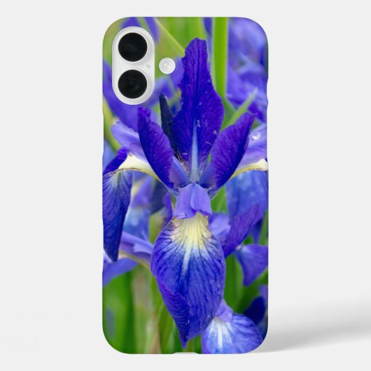 Étui pour téléphone Fleur d'Iris Bleue (Verso)