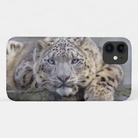 Étui Vishnu Snow Leopard pour iPhone 11 (Dos (Horizontal))