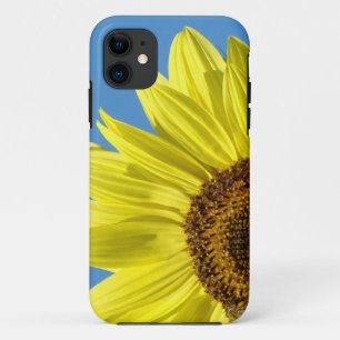 Étuis pour téléphone portable Tournesol Ciel bleu