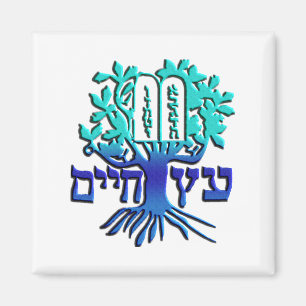 Etz Chaim Magneet