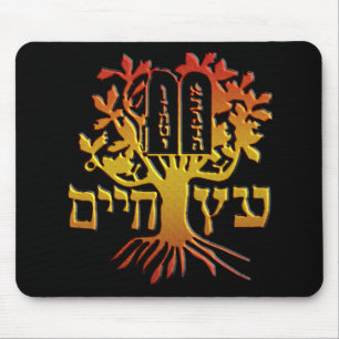 Etz Chaim Muismat