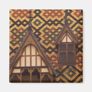 EU, Frankrijk, Bourgondië, Cote d'Or, Beaune. Gete Magneet