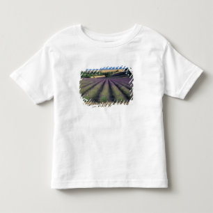 EU, Frankrijk, Provence, Lavendelvelden 2 Kinder Shirts