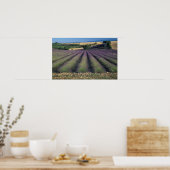 EU, Frankrijk, Provence, Lavendelvelden 2 Poster (Keuken)
