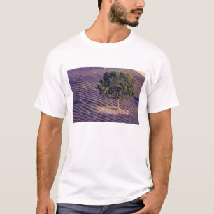 EU, Frankrijk, Provence, Lavender-velden T-shirt