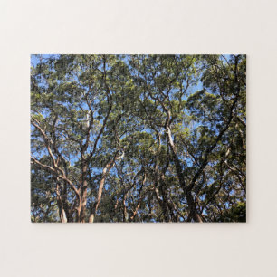 eucalypen legpuzzel