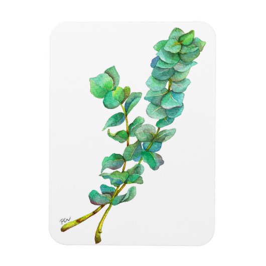 Eucalyptus 01 magneet (Verticaal)