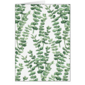 Eucalyptus 1 (Devant)