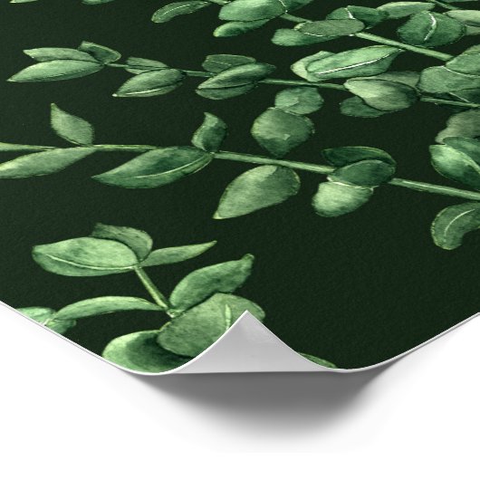 Eucalyptus 2 poster (Hoek)