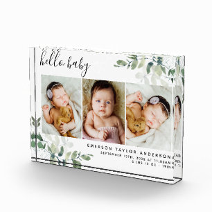 Eucalyptus 3 Foto Baby geboorte Stat