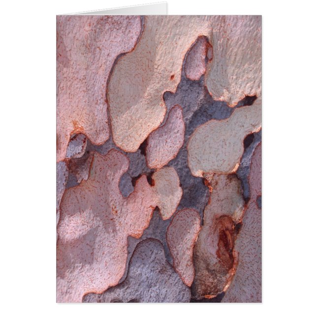 Eucalyptus Bark (Voorkant)