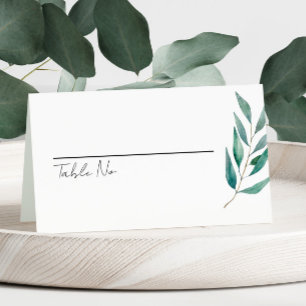 Eucalyptus Botanische Groene Tuin Trouwdag