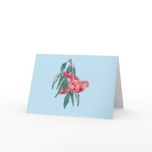 Eucalyptus (Corymbia ficifolia) op Blauw