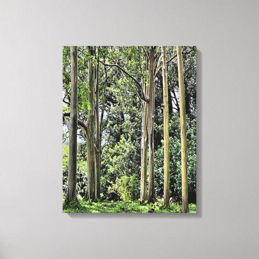 Eucalyptus Drievoudig Canvas Afdruk (Voorkant)