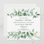 Eucalyptus Envy Botanicals Lattice Invitae Kaart (Voorkant / Achterkant)