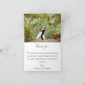 Eucalyptus Foliage Mariage Merci photo (Intérieur)