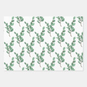 Eucalyptus Inpakpapier Set Vel (Voorkant 3)