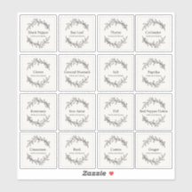 Eucalyptus Keuken Culinaire Kruiden Specerijen Scr