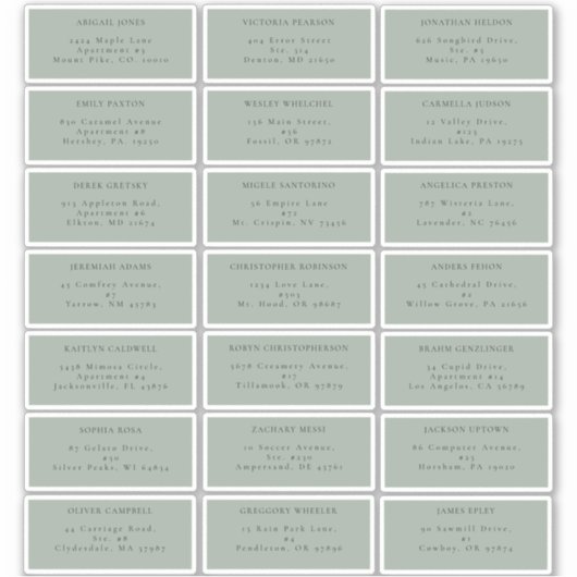 Eucalyptus Sage Groen Bruiloft Gast Adres Label (Voorkant)