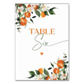 Eucalyptus sinaasappels citrus thema tabel nummer kaart (Voorkant)
