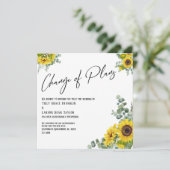 Eucalyptus tournesol Changement de plan Carte Mari (Debout devant)